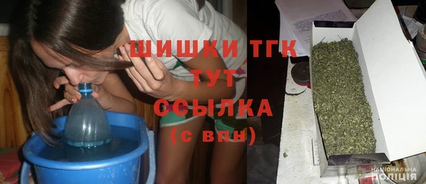 тгк Абаза