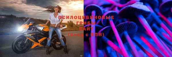 молекула духа Алексин
