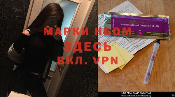 прущие грибы Абдулино