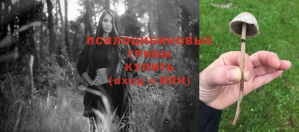 мяу мяу мука Нязепетровск