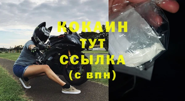 тгк Абаза