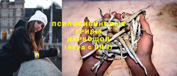 прущие грибы Абдулино